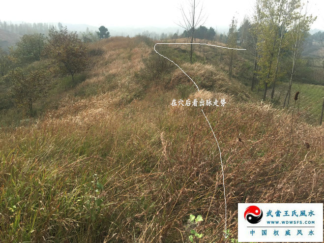 伏地飞鹤穴出高官七代 实战派风水大师王君植考察笔记